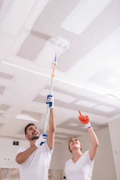Best Basement Mold Removal  in Hilliard, FL