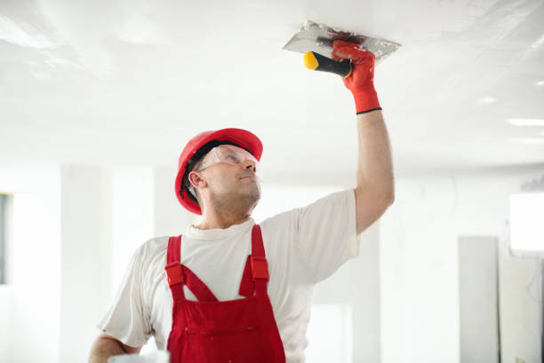 Best Mold Prevention Services  in Hilliard, FL