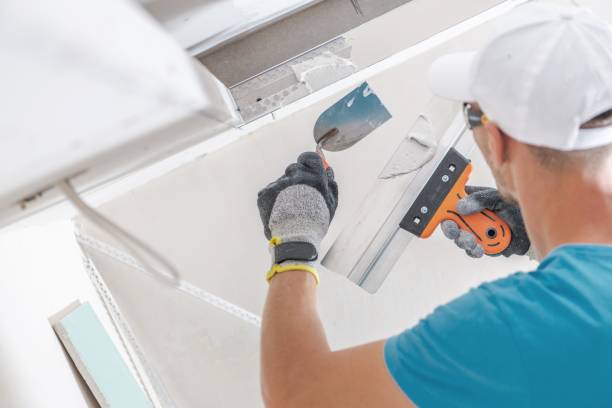 Best Emergency Mold Remediation  in Hilliard, FL